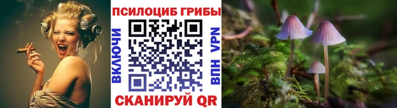 Псилоцибиновые грибы GOLDEN TEACHER купить наркотик Мурманск